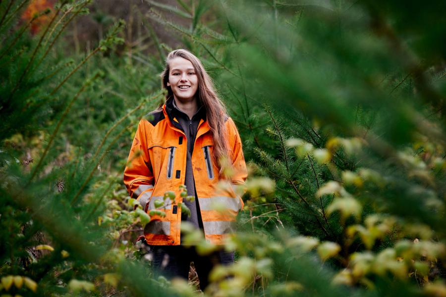 Jemima Letts, Forestry graduate, at work as a forestry assistant at Chatsworth Estate