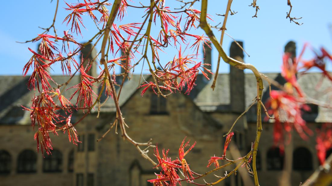 Main arts quad - abstract