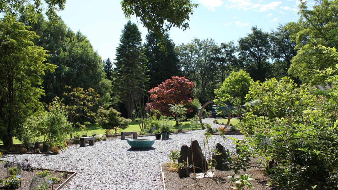 Treborth Botanic Garden | Bangor University