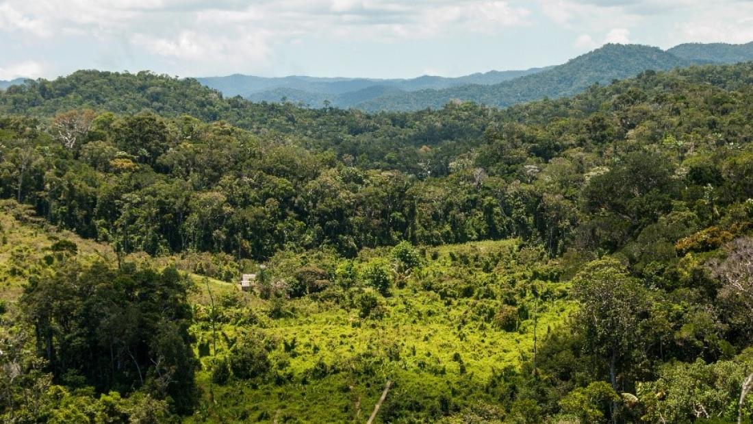 Ariel view of cleared land showing deforestation in Madagascar