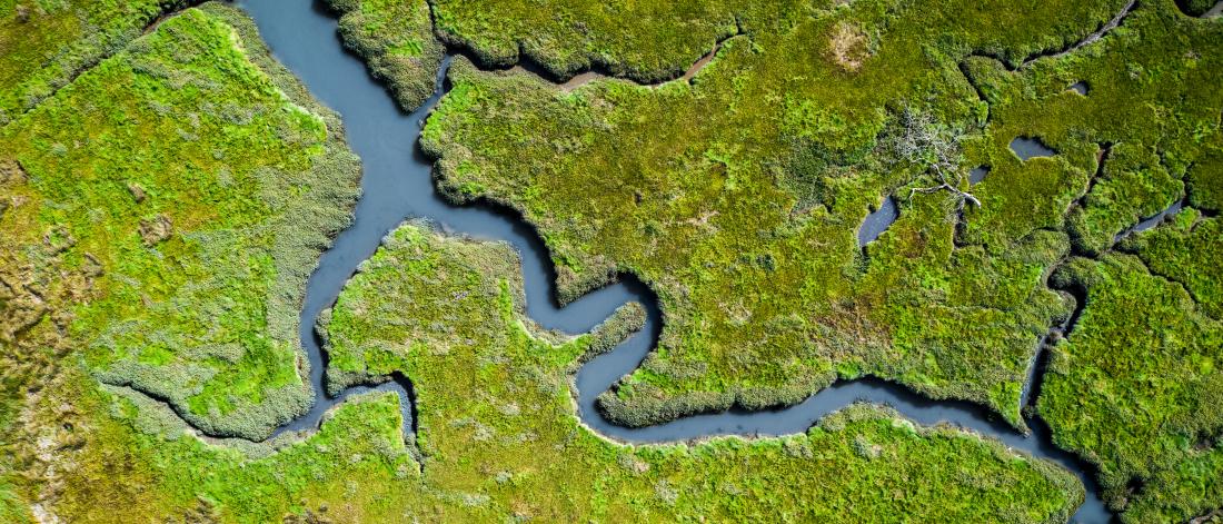 a river meander through wetlands as seen from above.