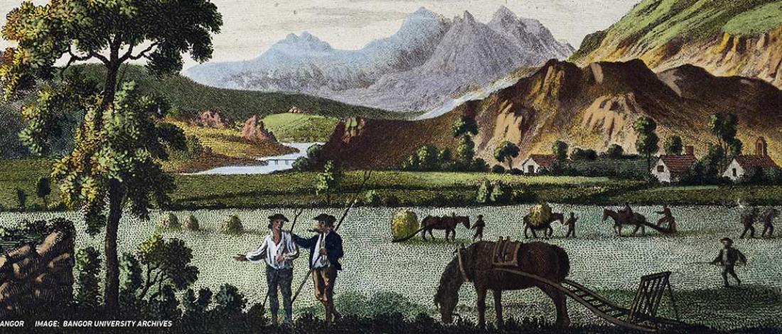 An agricultural scene with two figures in the foreground, lots of animals, and mountains in the background