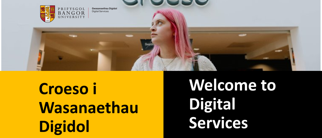 Welcome to Digital Services