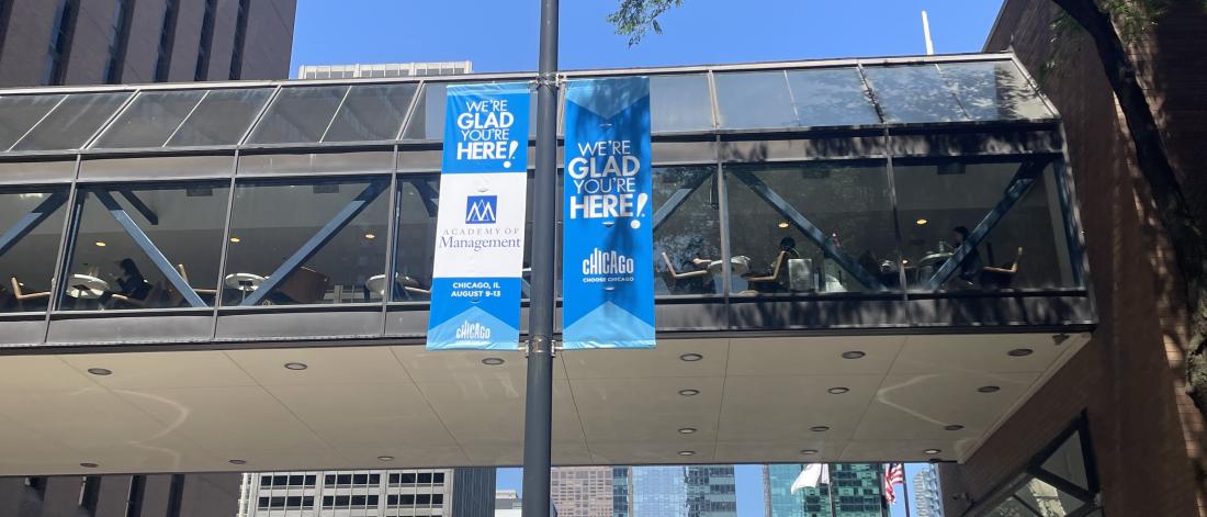 PIcture of the welcome flags at AoM Meeting in Chicago