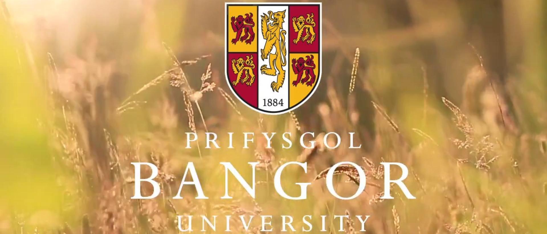 phd in bangor university