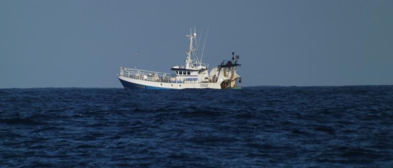 Seabed trawling’s impact on the climate may be wildly overestimated ...