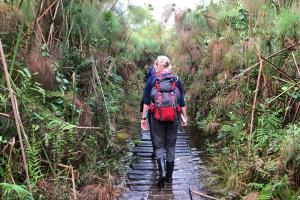 Student walking through a forest in Uganda on field trip