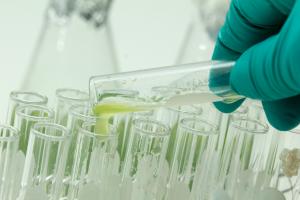 Student pouring marine plankton into a test tube in a laboratory