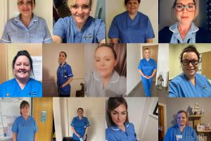 12 thumbnail images of healthcare assistants