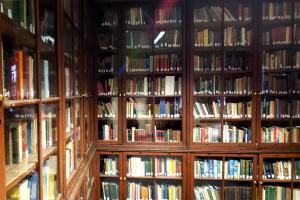 Book cabinets with books