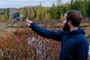 Image of staff member Alex Sutton feeding a bird of prey