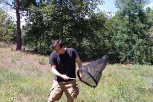 Dr Darren Parker with a net collecting insects in a field