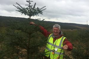 Professor Andy Smith visiting a Sitka spruce plantation in Scotland 