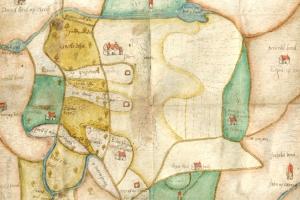 Extract from an historic map showing lots of field boundaries.