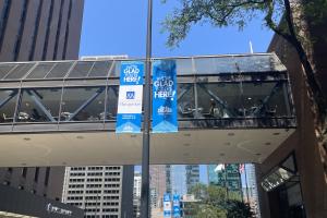 PIcture of the welcome flags at AoM Meeting in Chicago