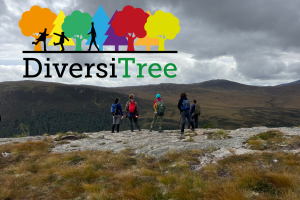 Five woodland managers and forestry policy makers surveying a Scottish mountainside during a Practitioners Panel run as part of the DiversiTree research project