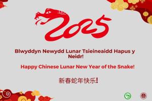 CNY greetings