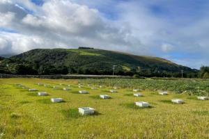 The image shows static gas chambers which allow a measure of topsoil greenhouse gases