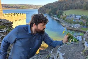 Owen Osborne in Conwy examining a plant