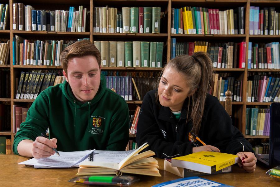 Two students studying in the Shankland Library