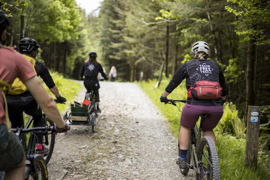 Cyclists on a forest track