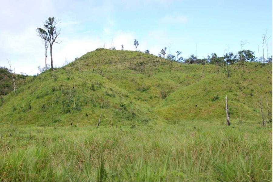 A deforested Amazonian forest area.