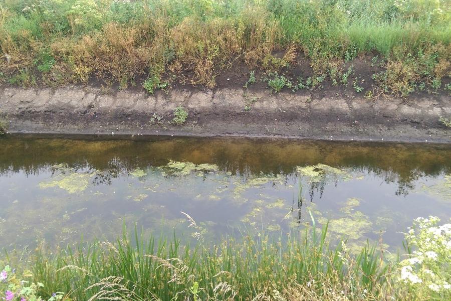 Ffos draenio yn dangos haen brown tywyll o fawn uwchben y dwr ac agored i'r awyr.th a low water level showing brown peat exposed to the air