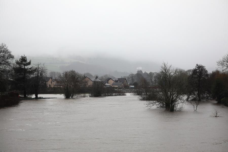 llun llwyd o afon wedi gorlifo a choed yn sefyll mewn dŵr.