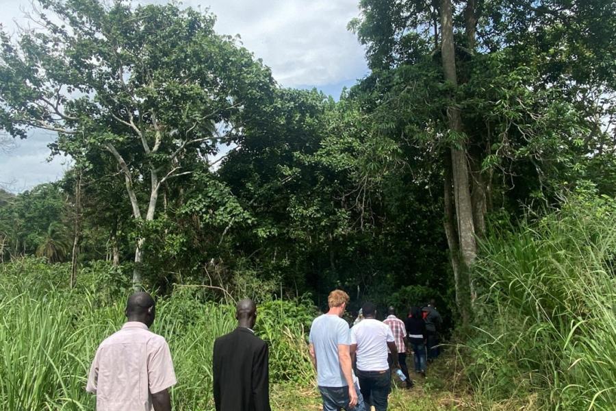 a group walking into a forest 