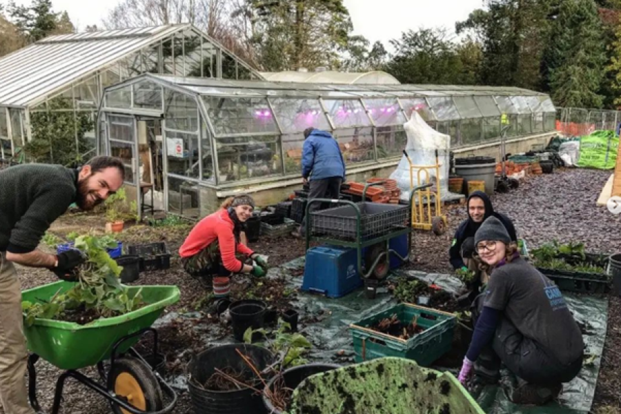 People gardening