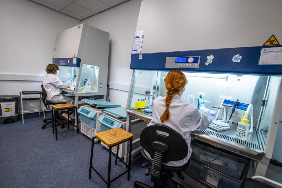 People testing samples in a lab