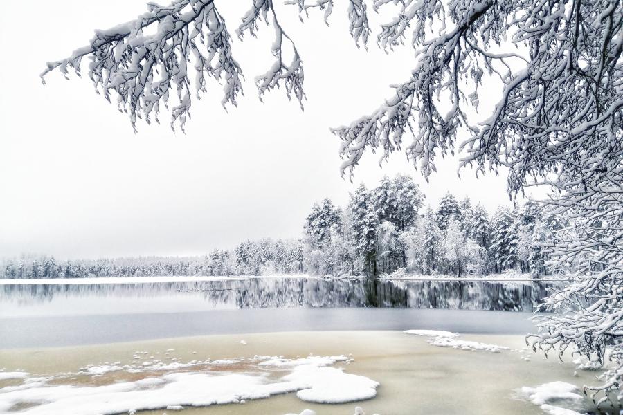 Ice and snow melting on a lake in Finland, surrounded by snow-capped trees 