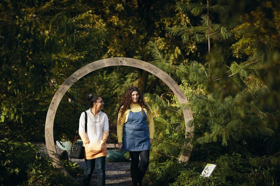 Image of people walking through Treborth Gardens