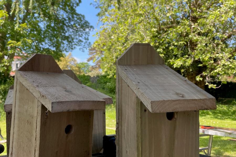 Rathbone well-being garden