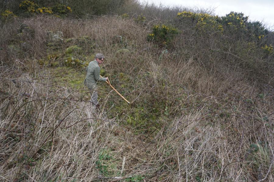 A well-dressed male in tweeds scything overgrowth