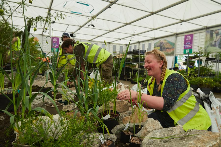 Planting taking place at Chelsea Flower Show