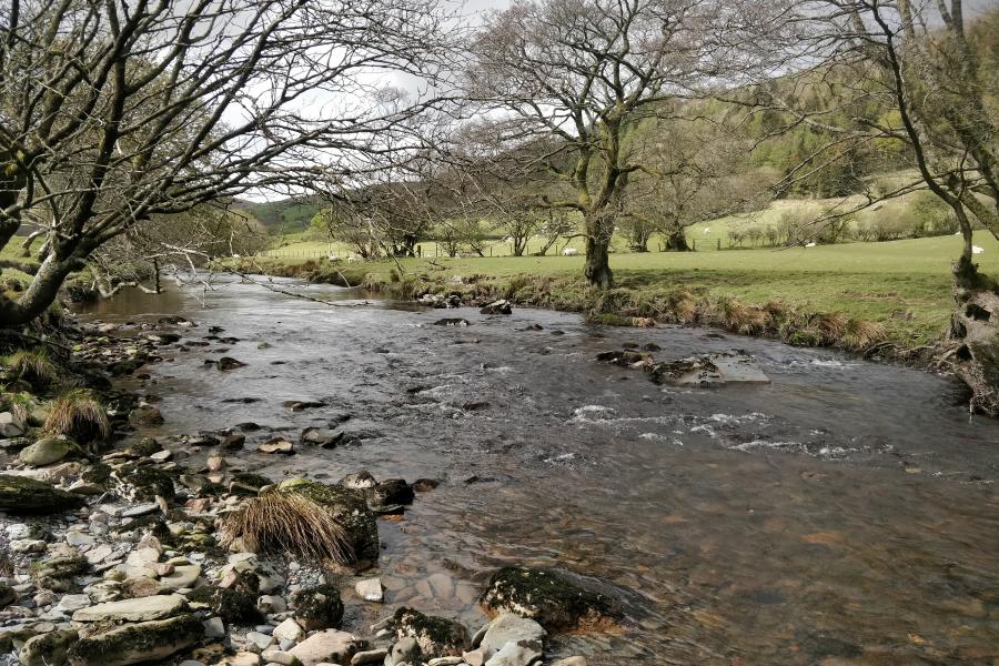 Afon yn llifo o'r chwith i'r dde