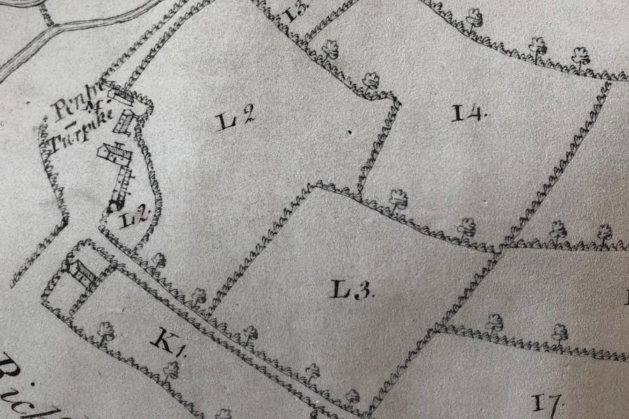 Extract from an historic map showing lots of field boundaries.