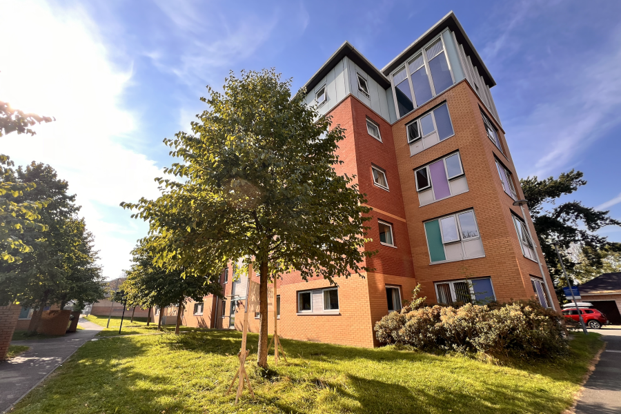 4 floored building surrounded by greenery, fasade in brown, dark brown and white