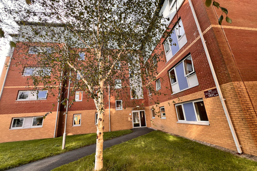 4 floored building surrounded by greenery, fasade in brown, dark brown and white