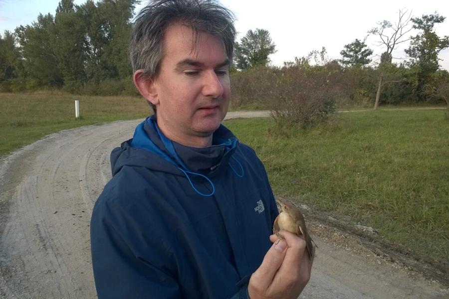 A small migratory bird, the reed warbler, about to be released after being tested for its ability to navigate across continents