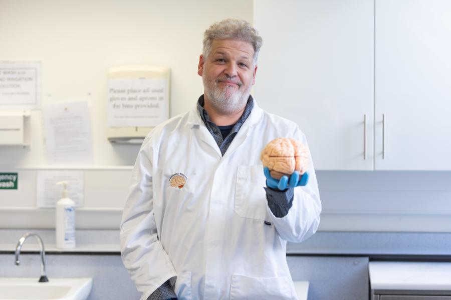 Guillaume Thierry in white lab coat holding human brain model 