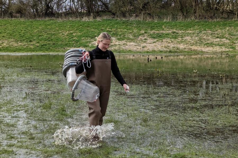 Abi walking through a flooded field, wearing brown waders, carrying clear plastic domes used for gas collection