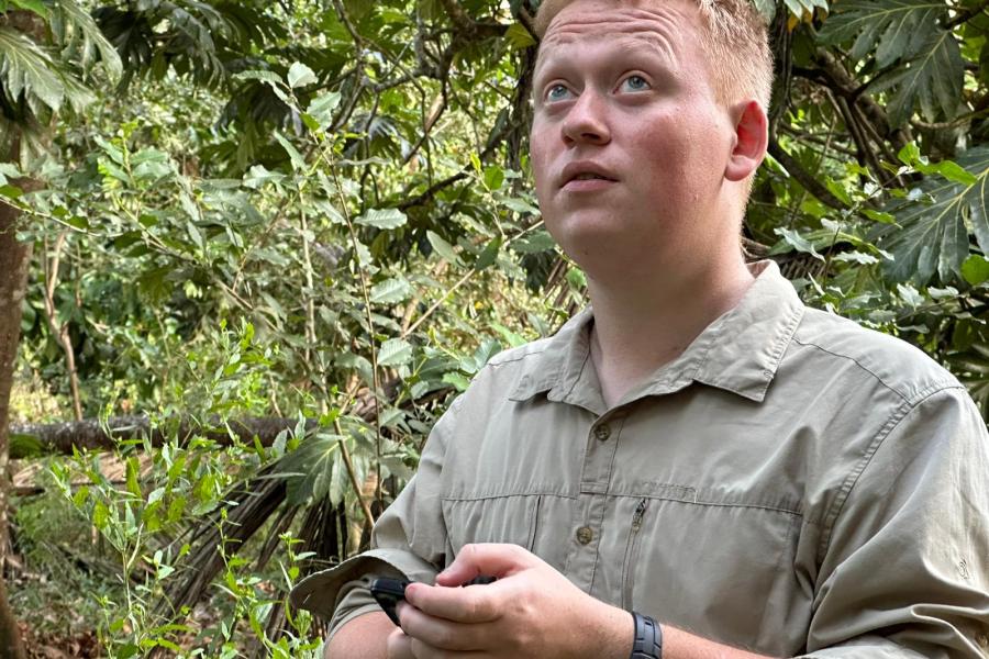 Patrick Allsop recording the behaviour of Zanzibar red colobus monkeys in the trees