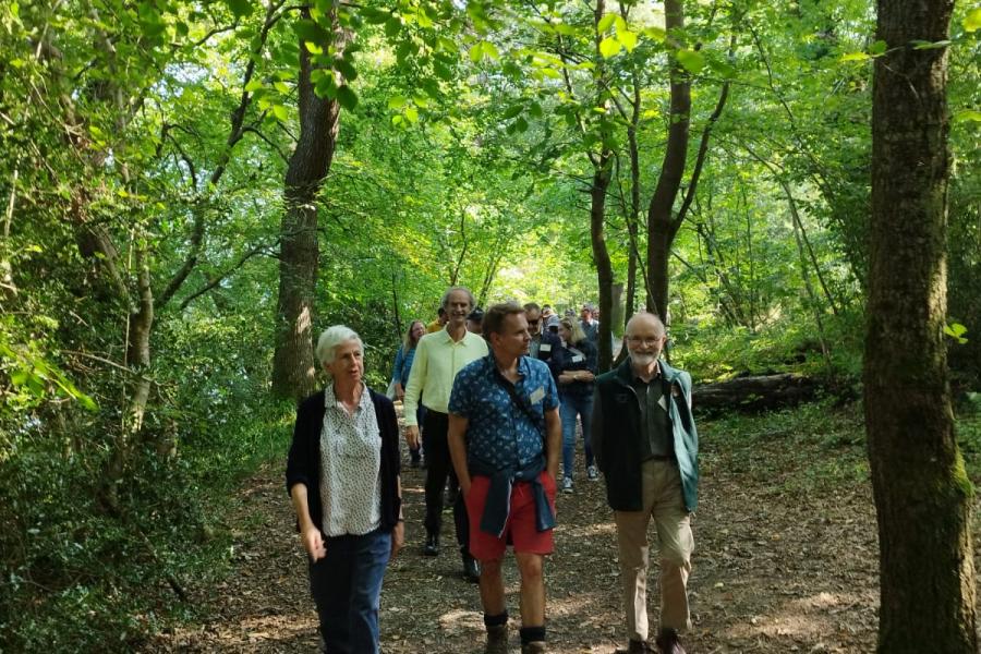 People walking in Treborth woodland