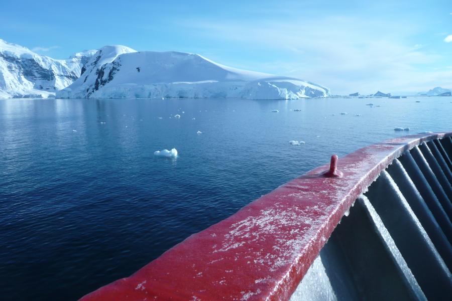 Llun a gymerwyd yn Antarctica in 2017 gan yr Athro Katrien Van Landeghem 