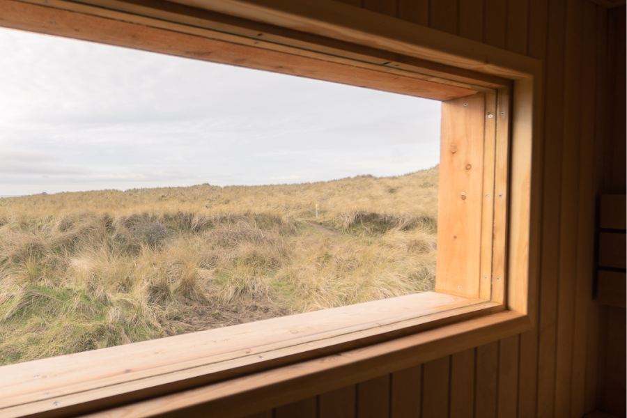 Scenery from the sauna