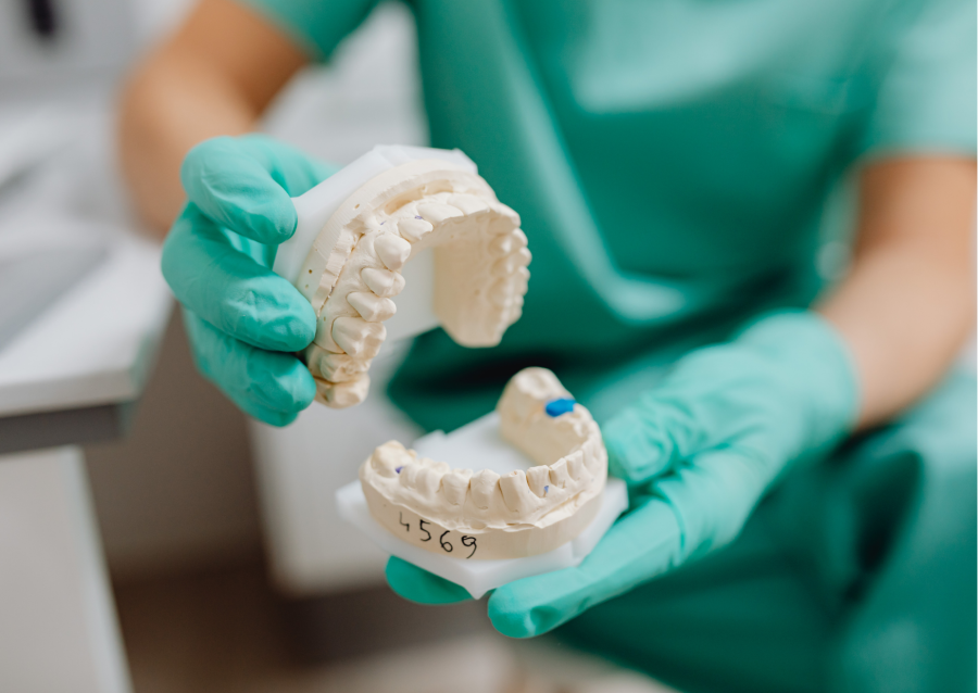 Person holding a white dental cast