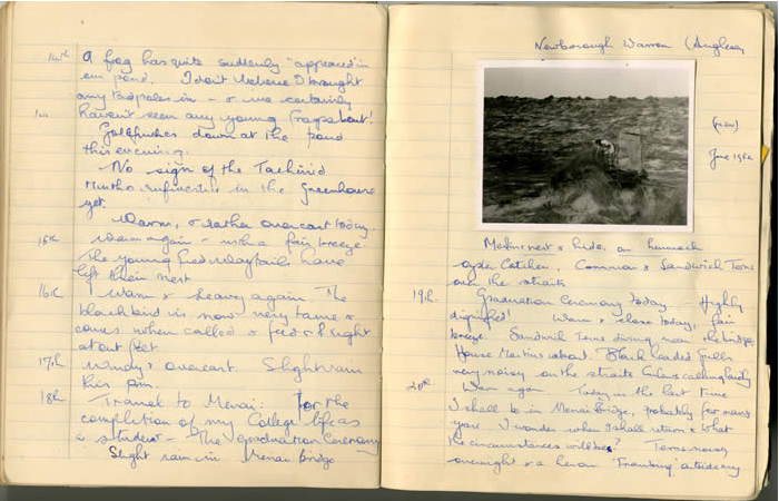 Photo of pages from the Paul Whalley nature diaries