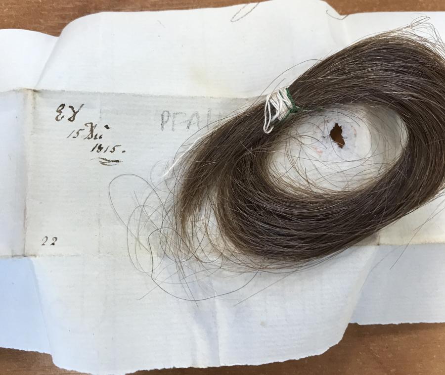 hair sample from Penrhyn collection